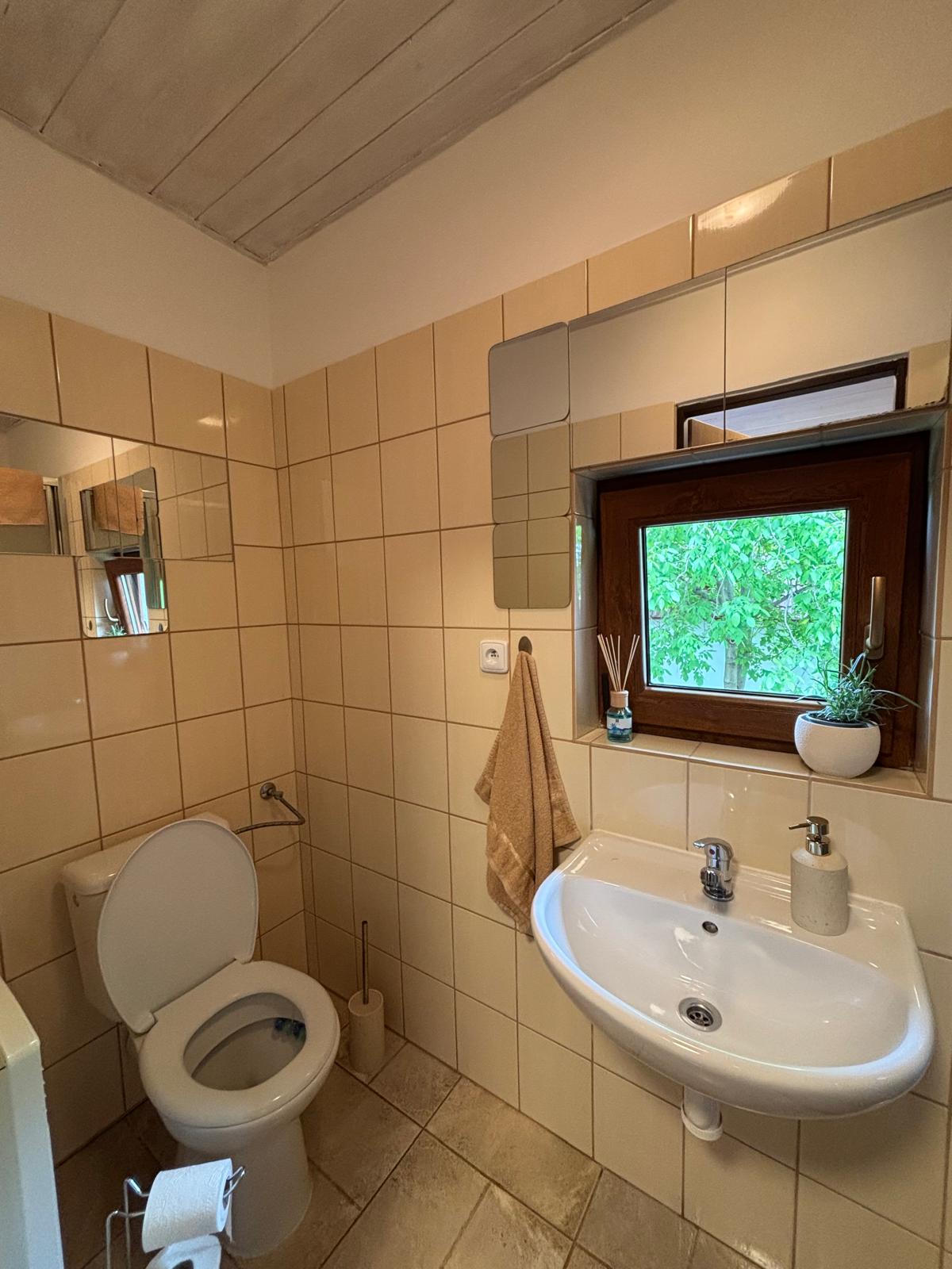 Koupelna – WC a umyvadlo